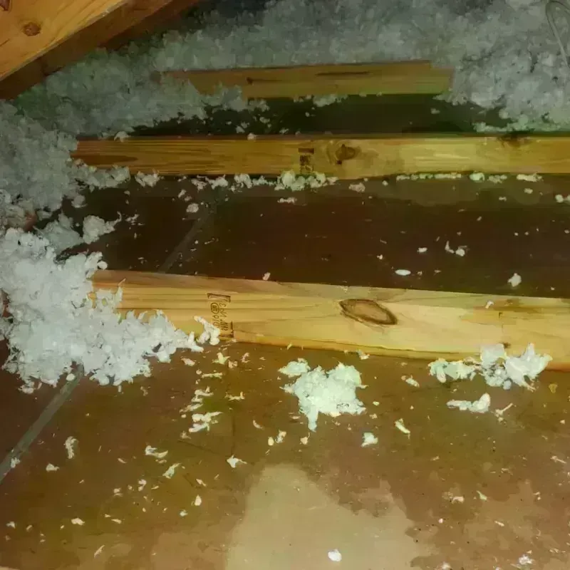 Attic Water Damage in Appling County, GA